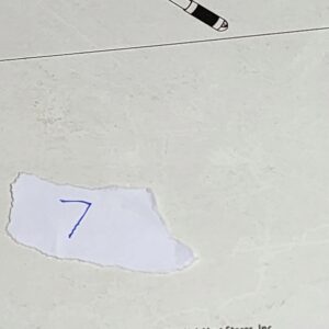 ZBIERAK SIATKA DO BASENU SZEROKA dł 130cm